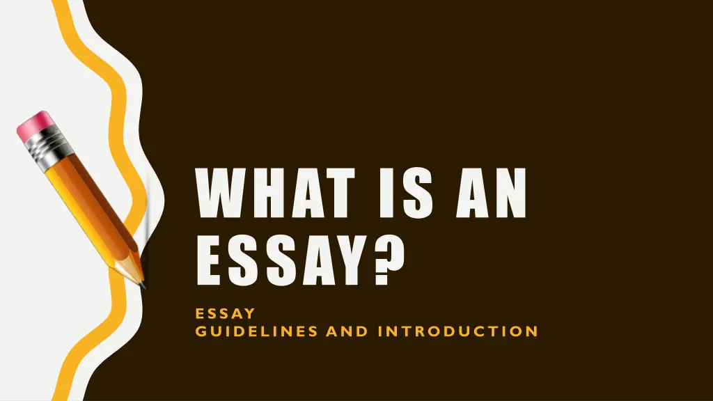 what is an essay essay guidelines and introduction