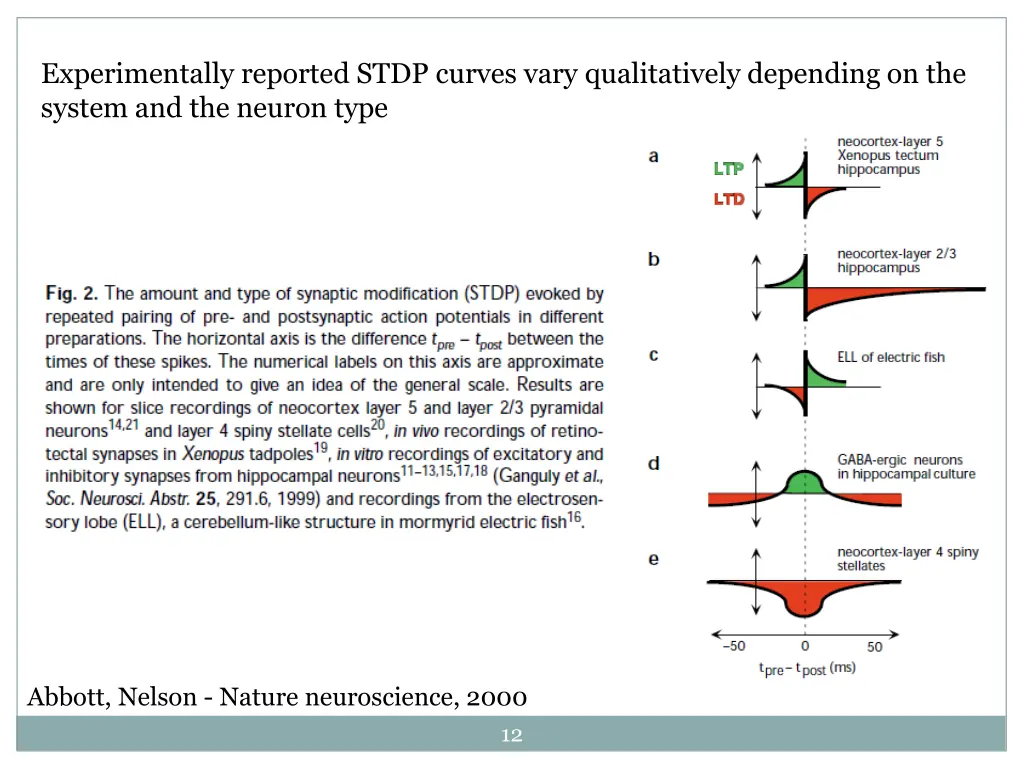 experimentally reported stdp curves vary