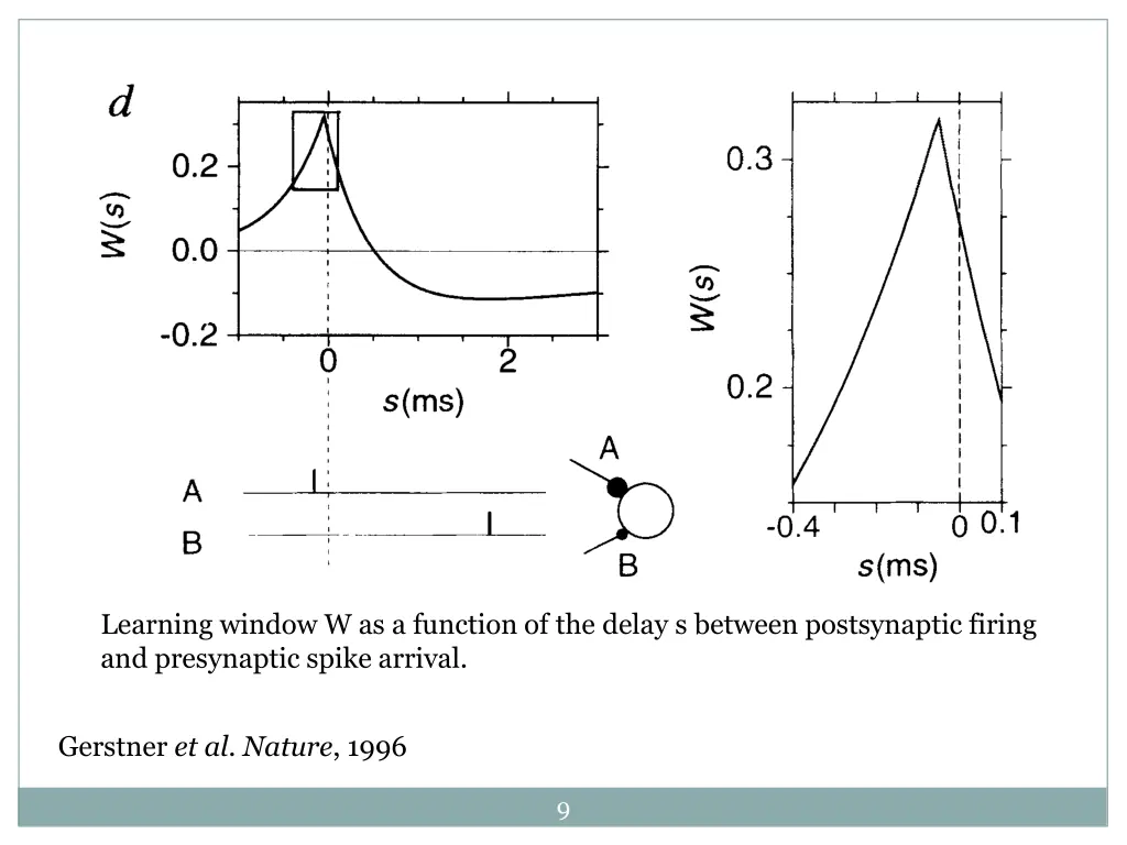 learning window w as a function of the delay