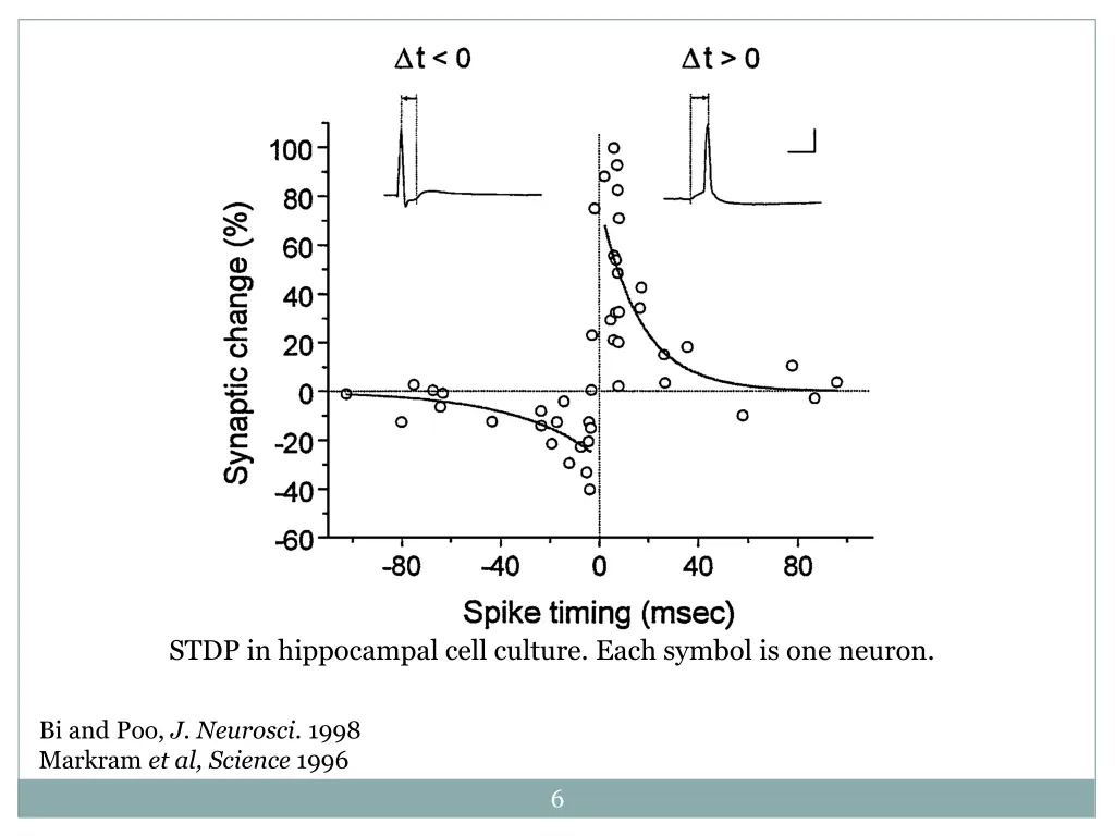 stdp in hippocampal cell culture each symbol