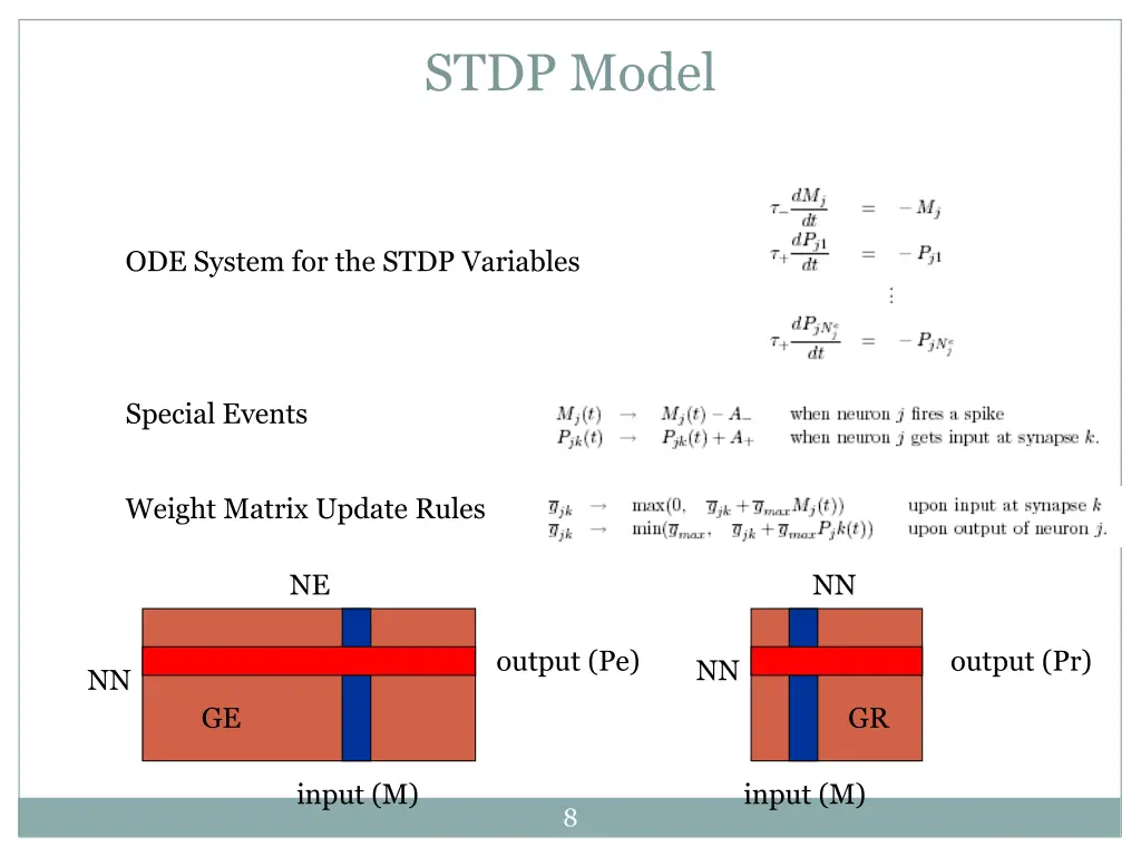 stdp model