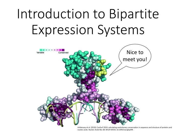 introduction to bipartite expression systems