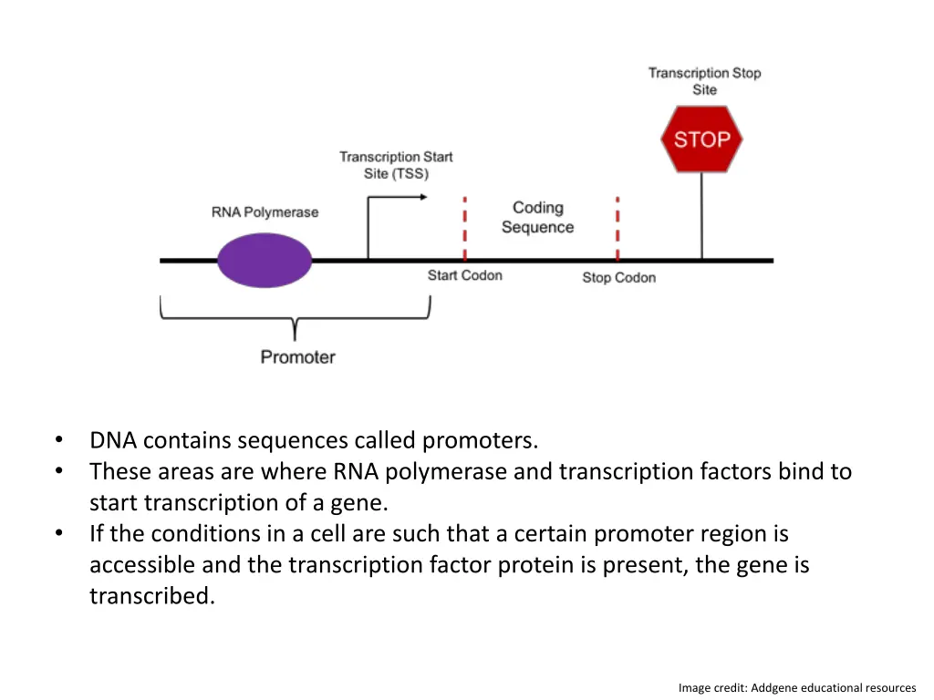 slide3