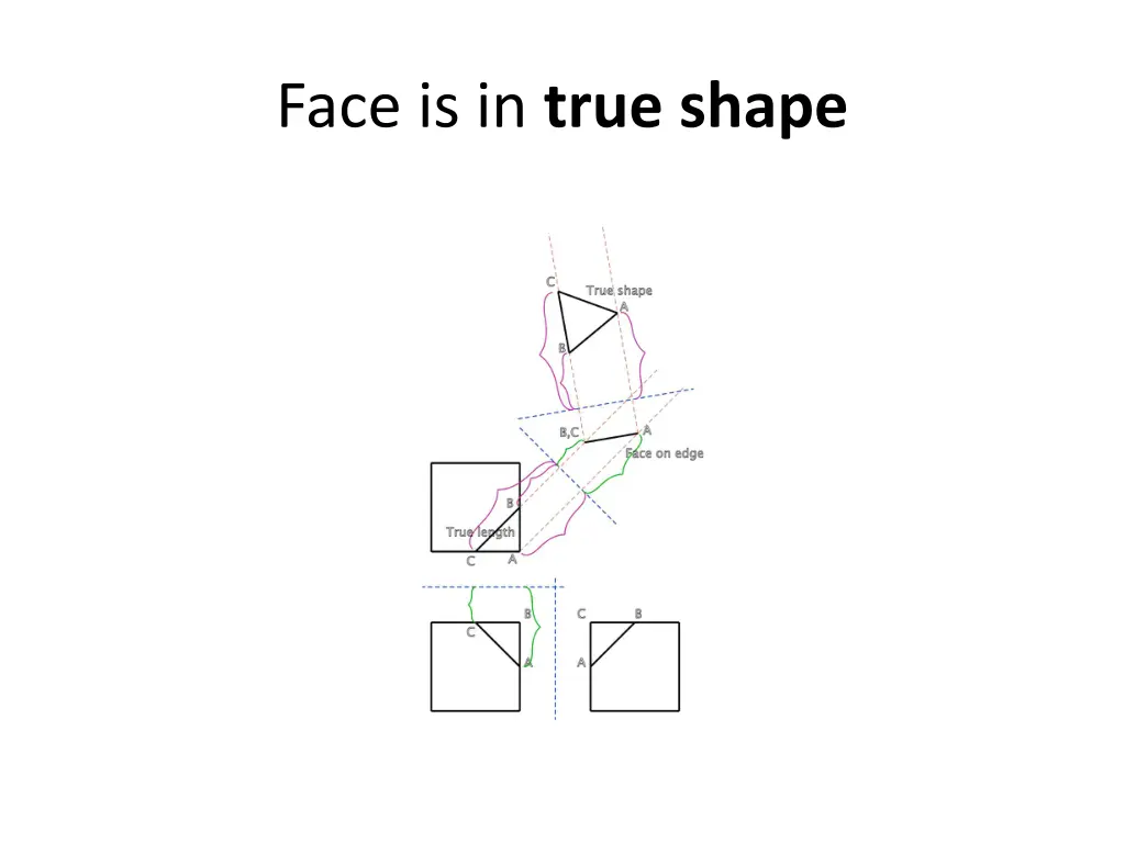 face is in true shape