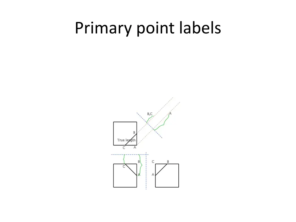 primary point labels