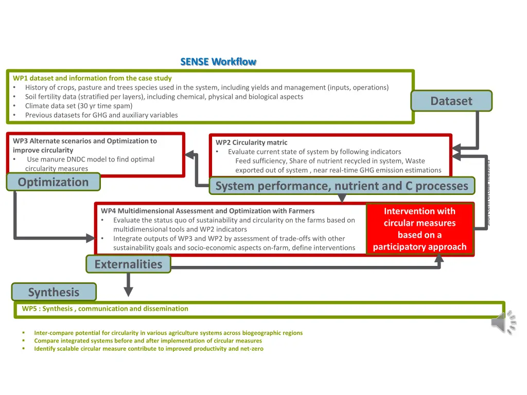 sense workflow