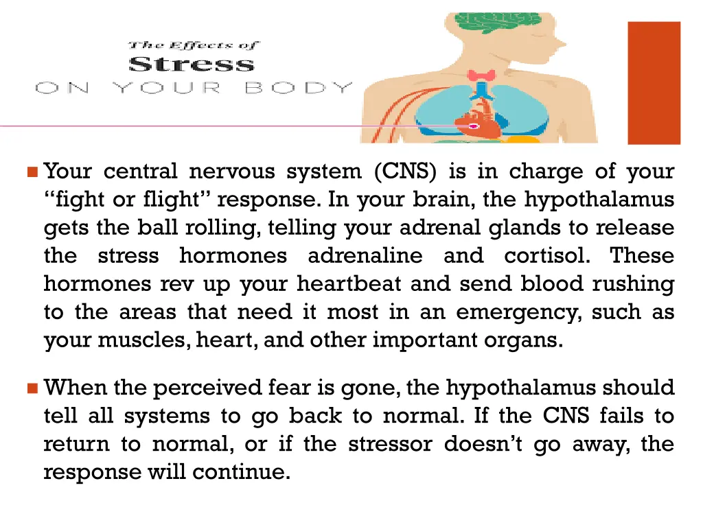 slide8