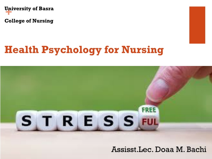 university of basra