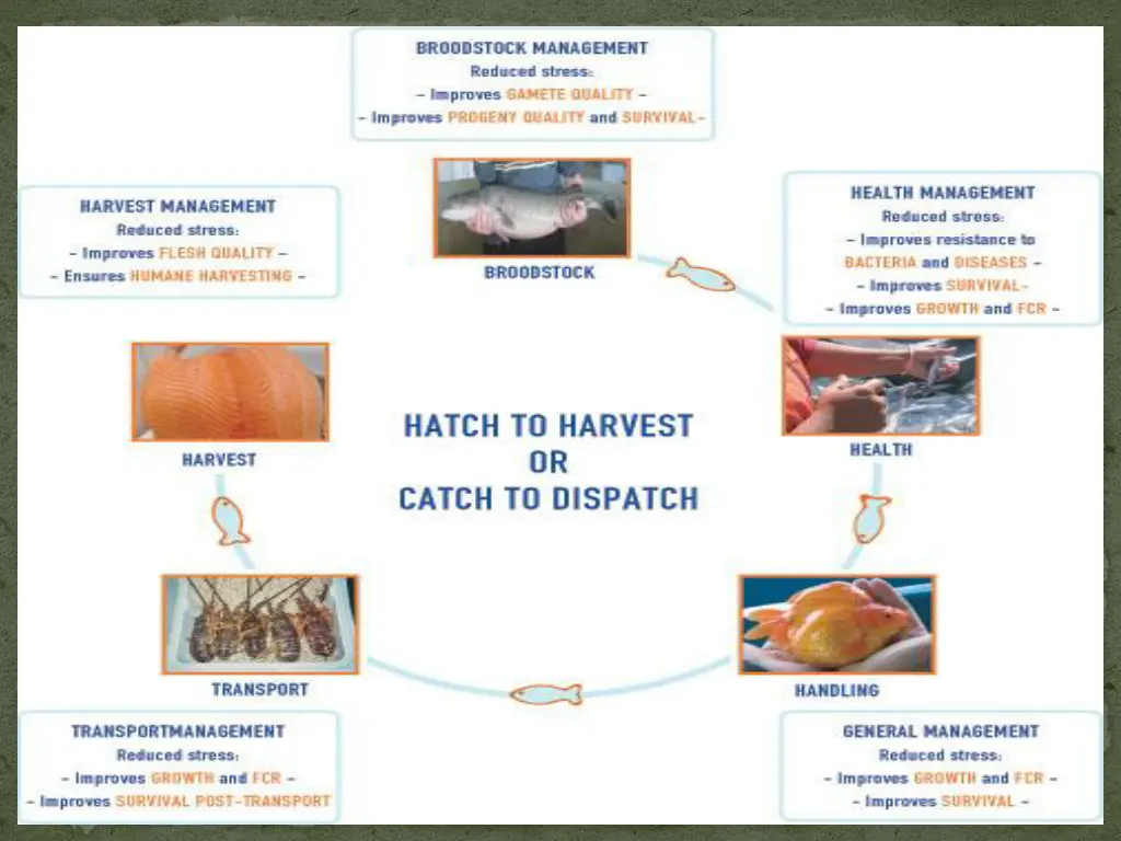 slide23
