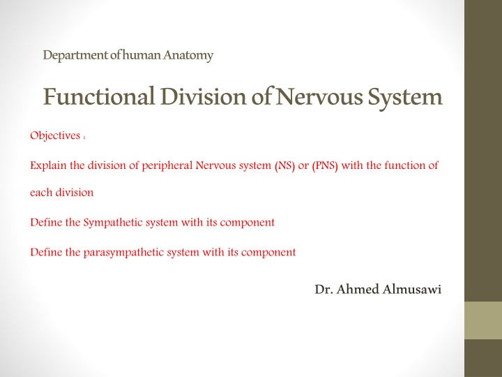 department of human anatomy functional division