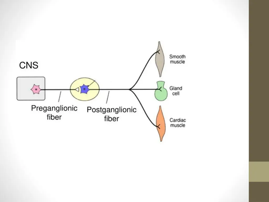 slide6