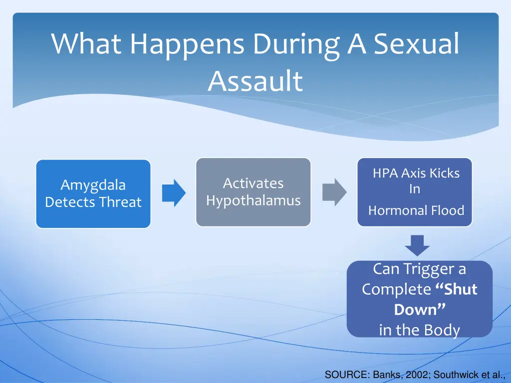 what happens during a sexual assault 1