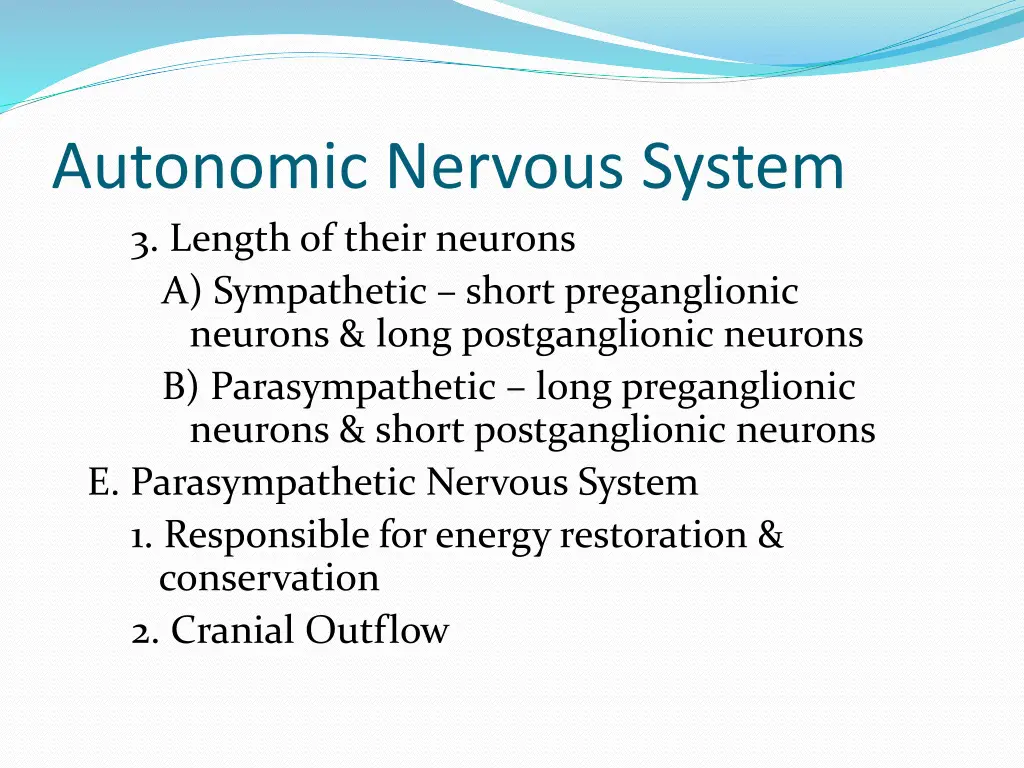 autonomic nervous system 3 length of their