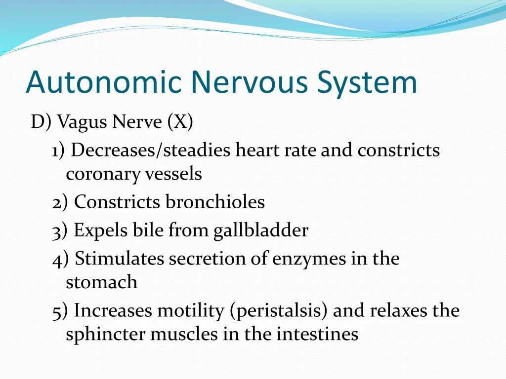 autonomic nervous system 4