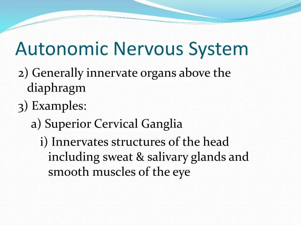 autonomic nervous system 7