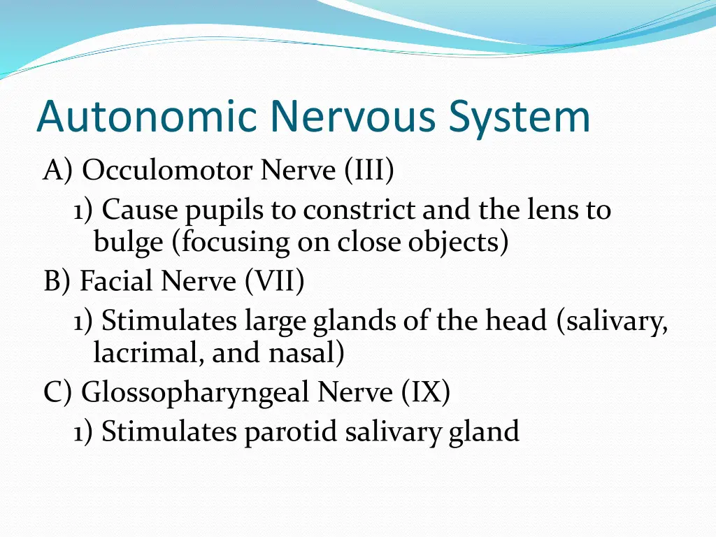 autonomic nervous system a occulomotor nerve