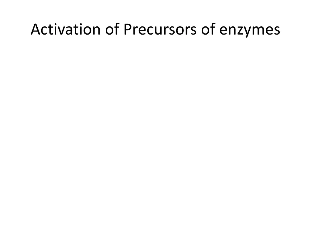 activation of precursors of enzymes