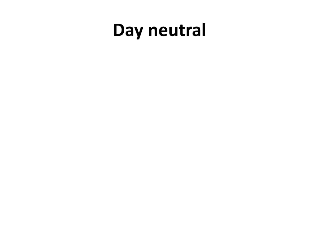 day neutral