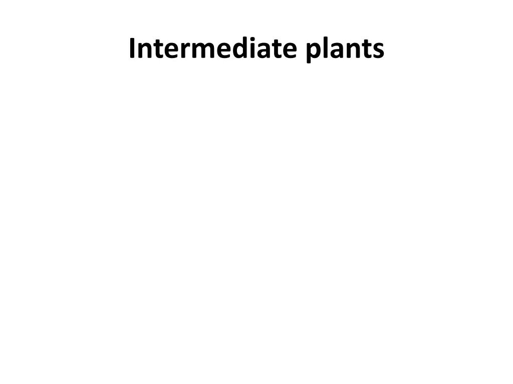 intermediate plants