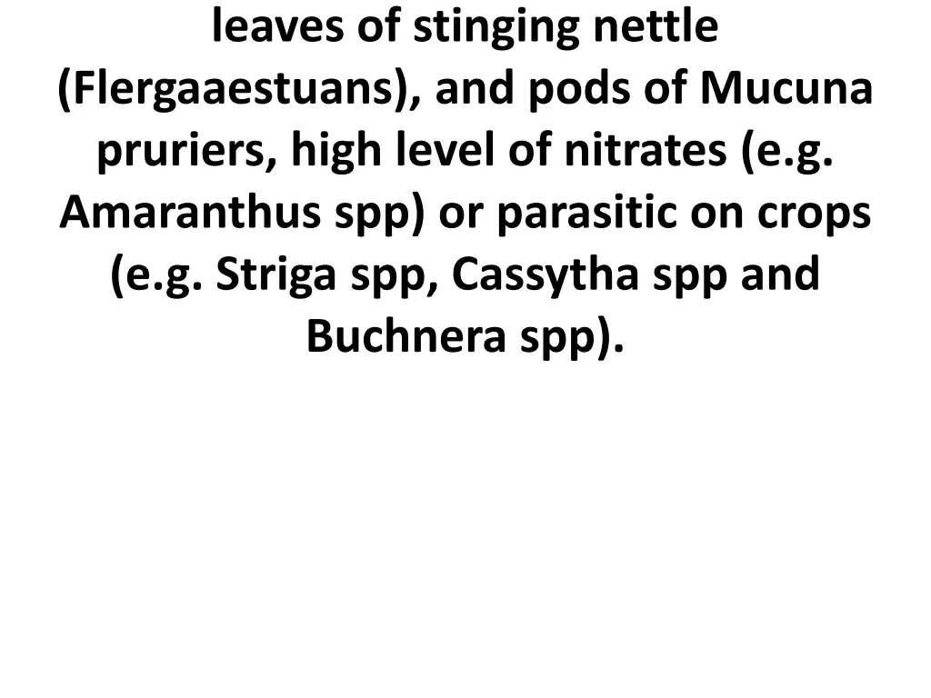 leaves of stinging nettle flergaaestuans and pods