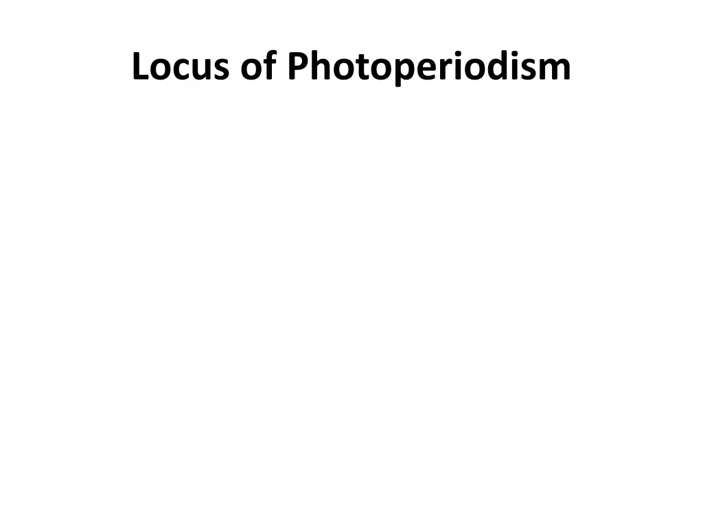 locus of photoperiodism