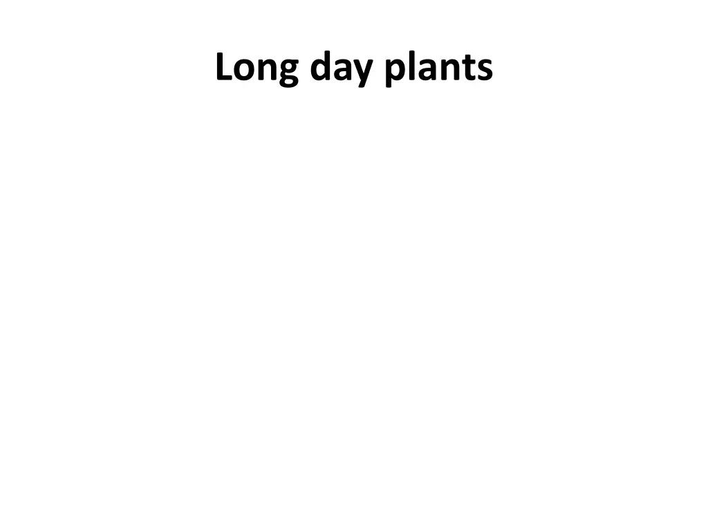 long day plants