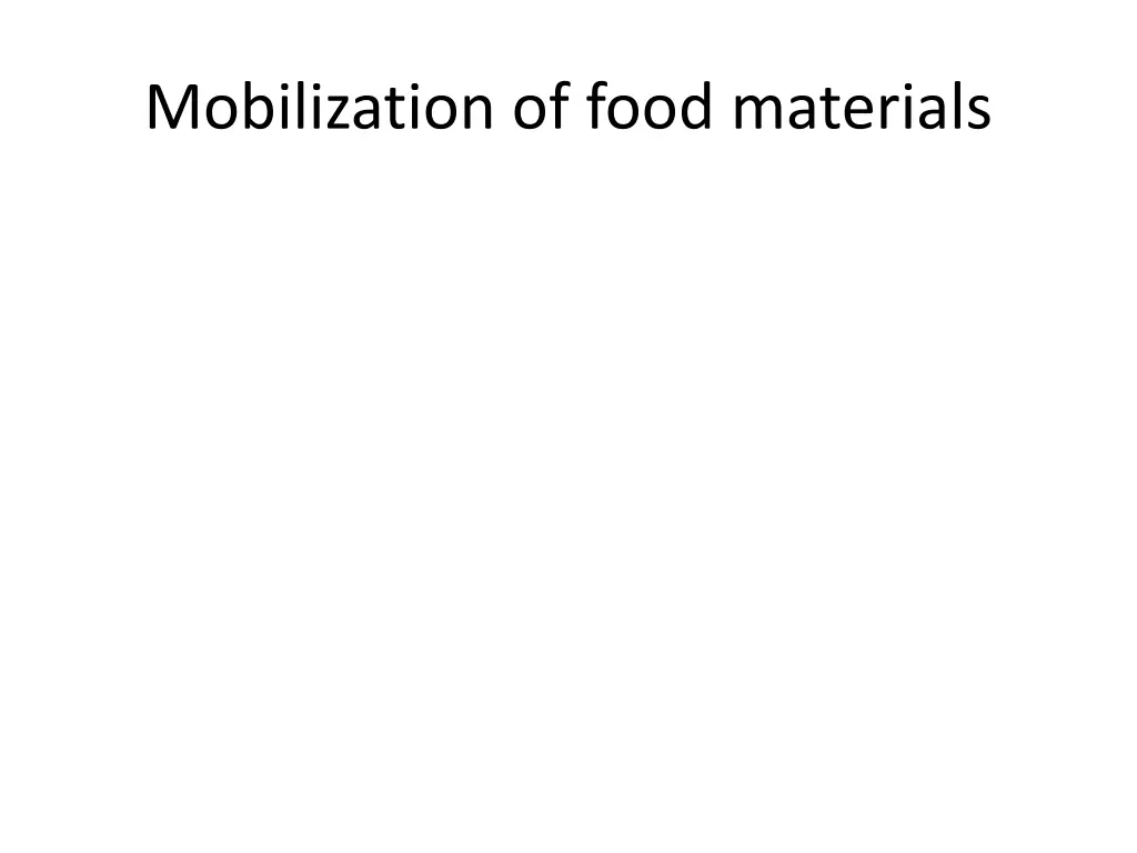 mobilization of food materials