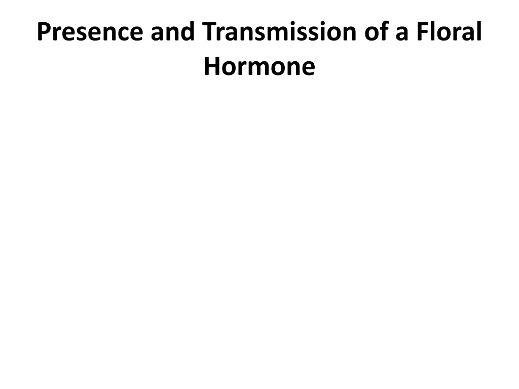 presence and transmission of a floral hormone