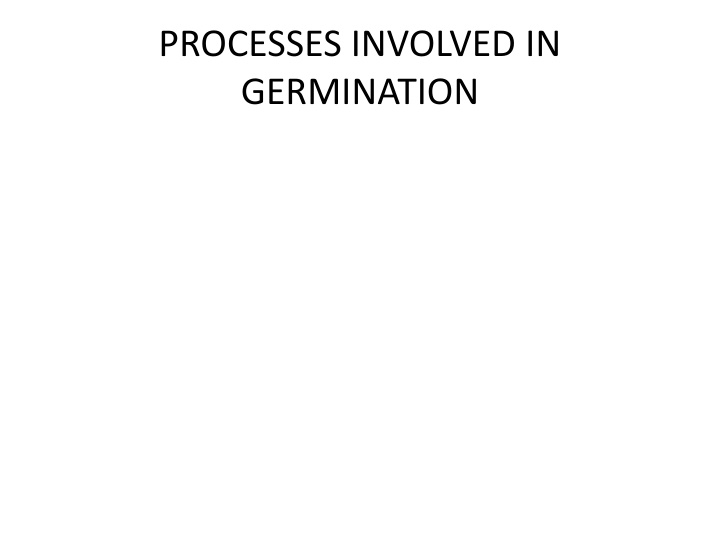 processes involved in germination