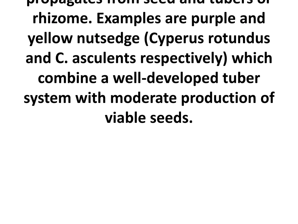 propagates from seed and tubers or rhizome