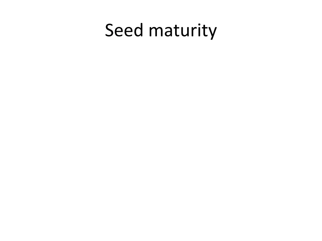 seed maturity