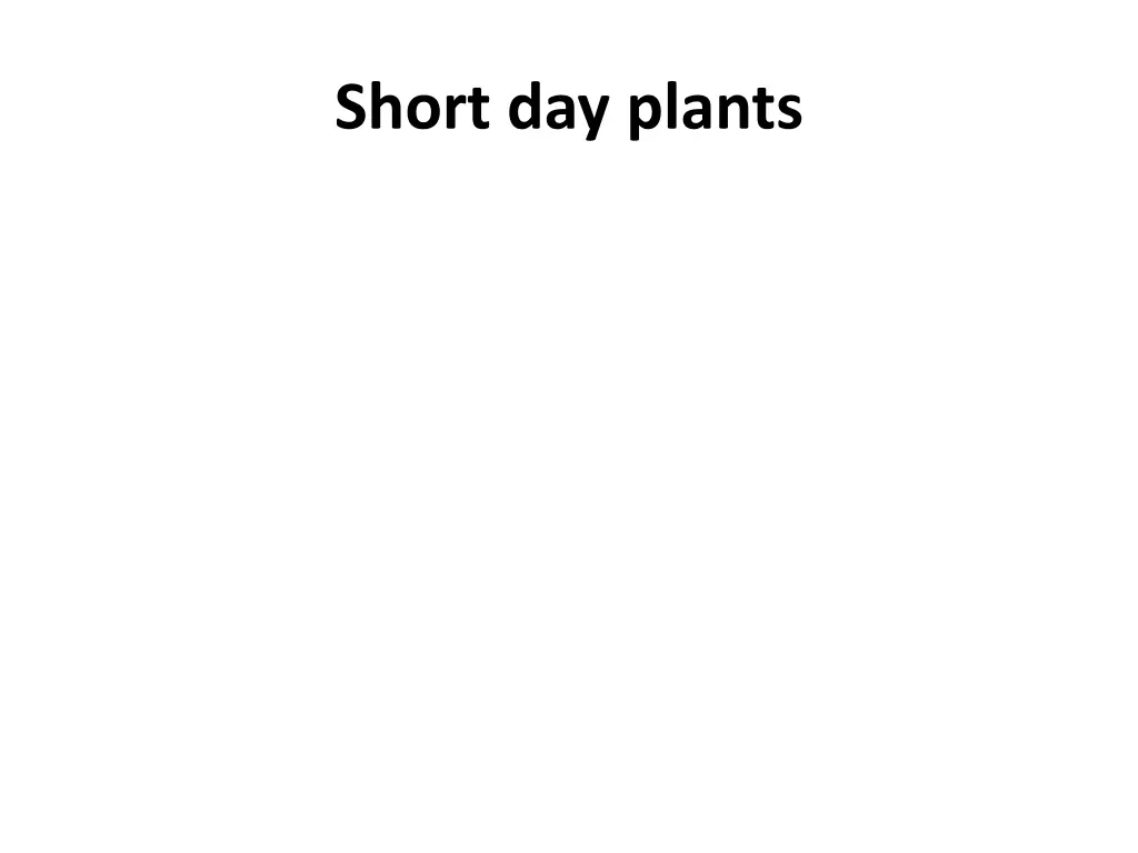 short day plants