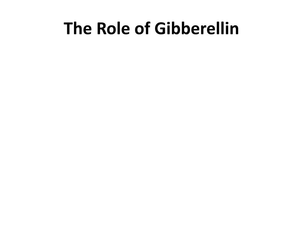 the role of gibberellin
