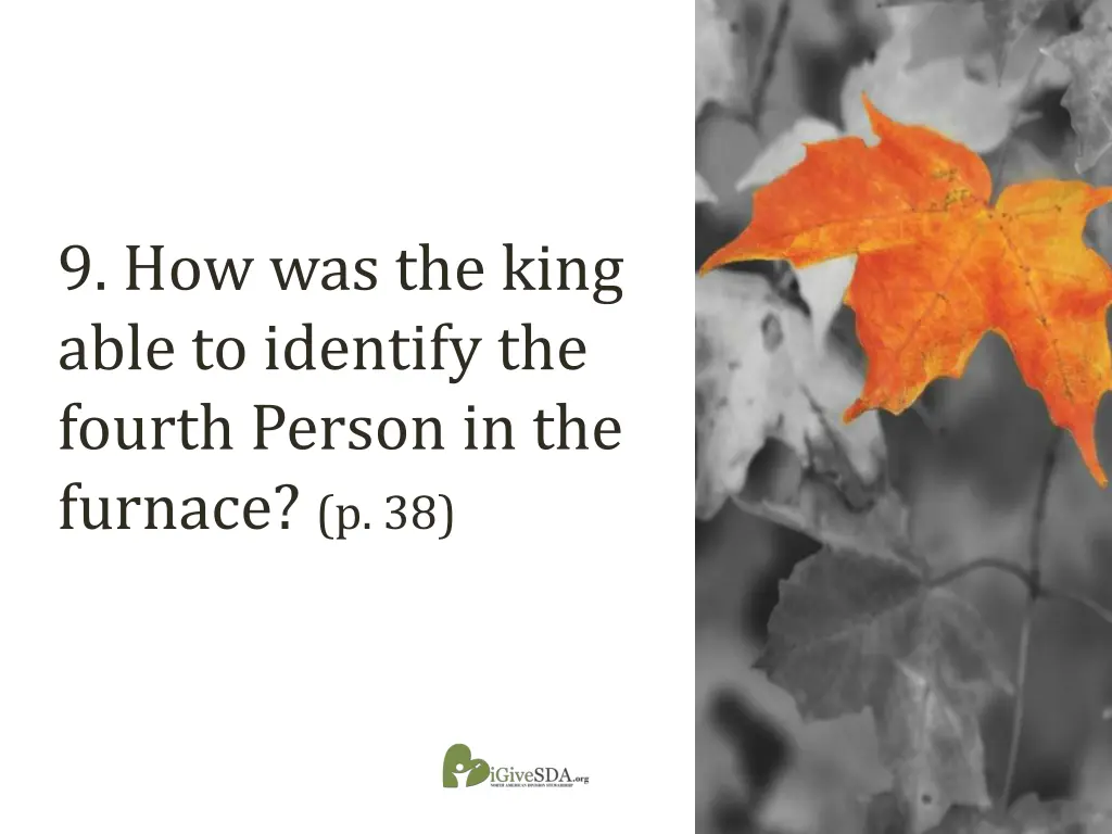 9 how was the king able to identify the fourth