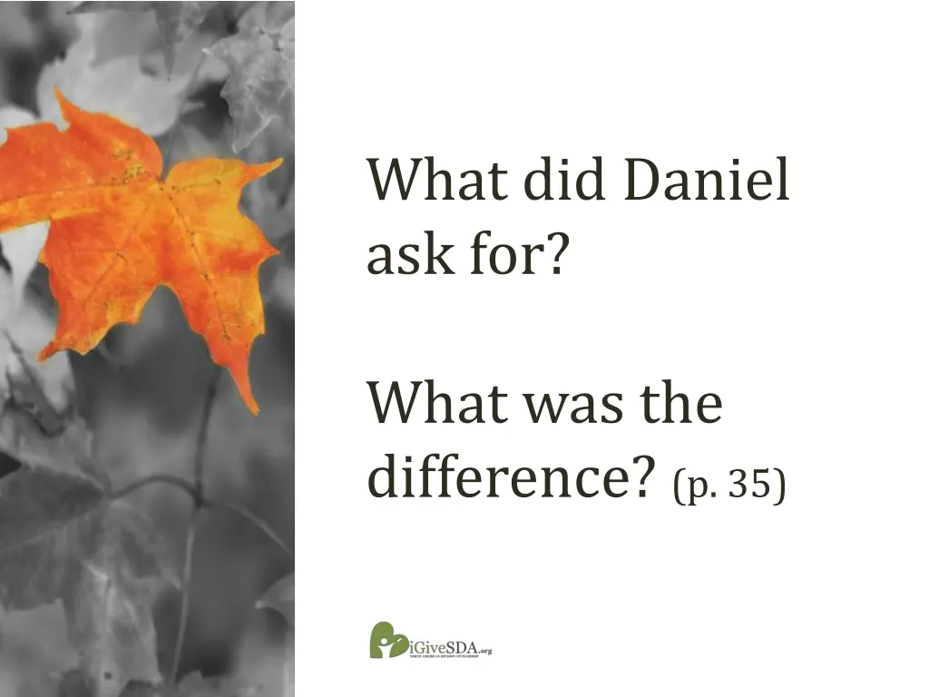 what did daniel ask for