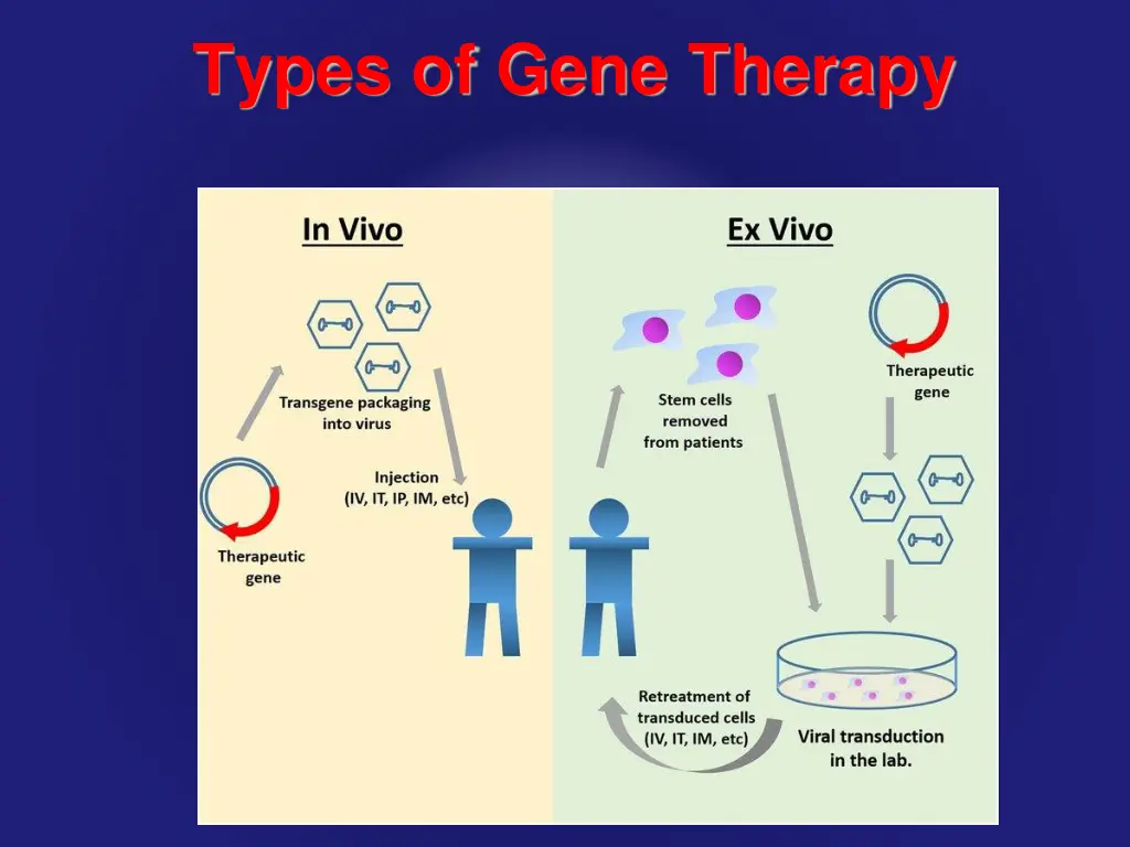 types of gene therapy