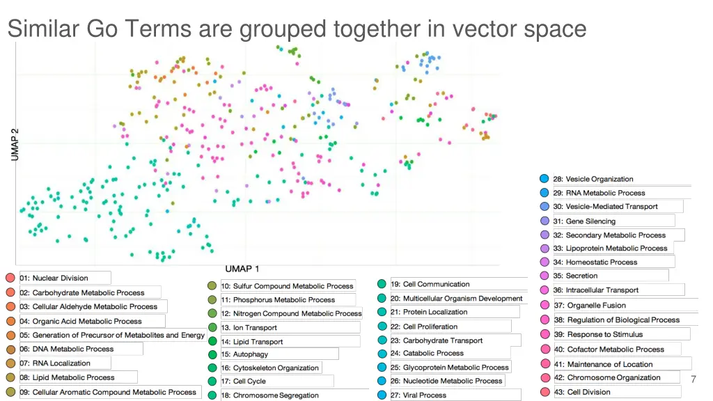 similar go terms are grouped together in vector