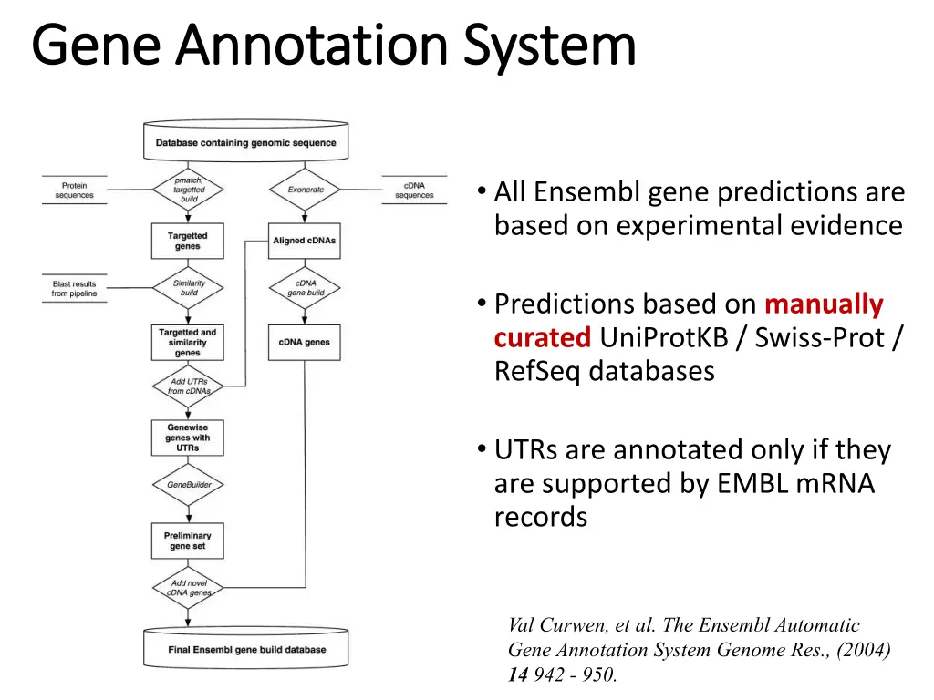 gene annotation system gene annotation system