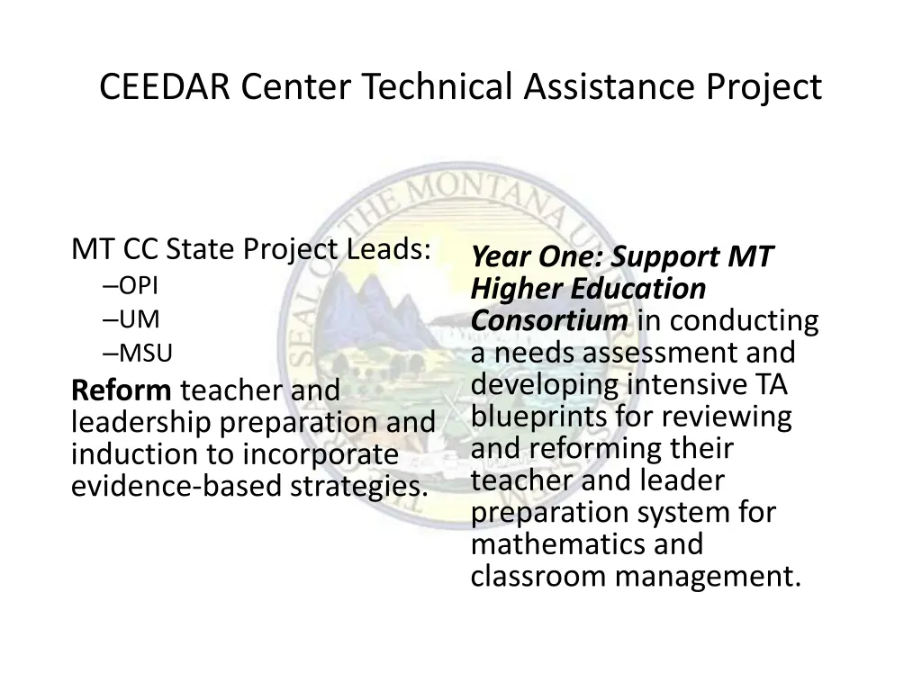 ceedar center technical assistance project