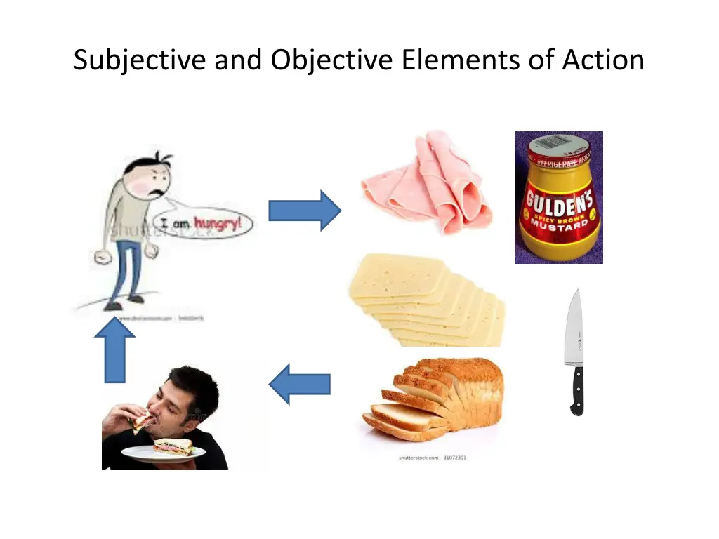 subjective and objective elements of action
