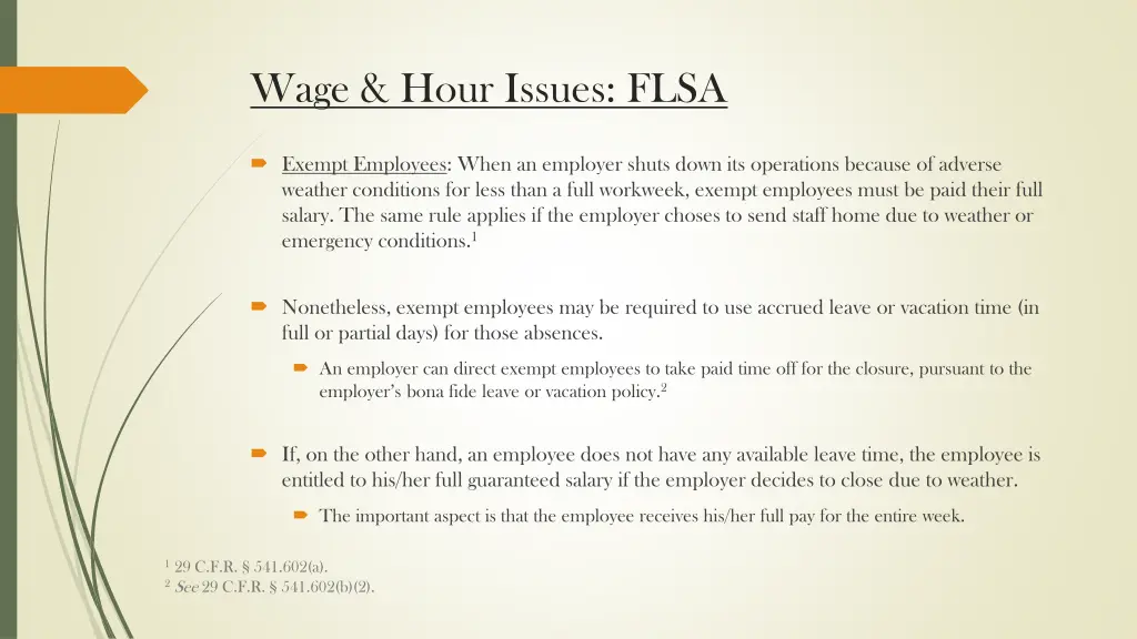 wage hour issues flsa 2