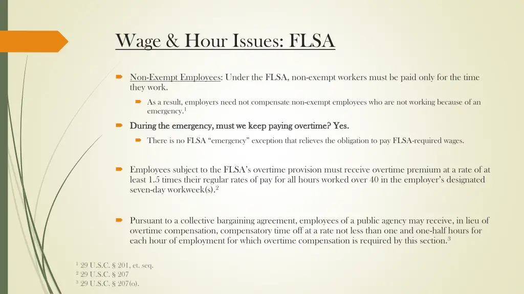 wage hour issues flsa