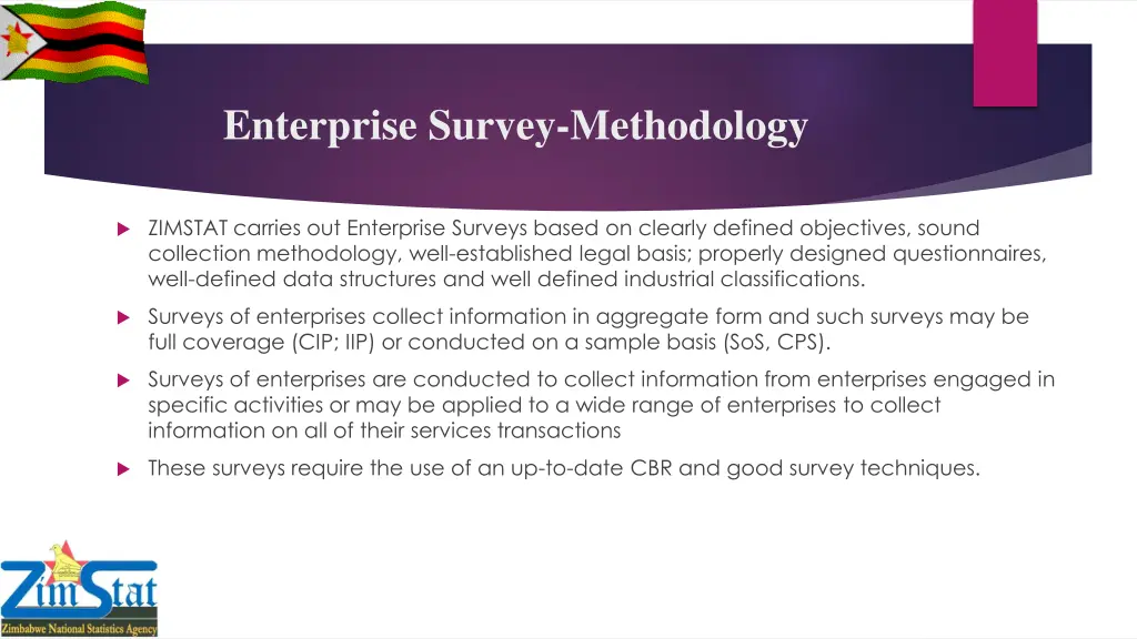 enterprise survey methodology