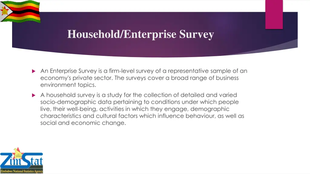 household enterprise survey
