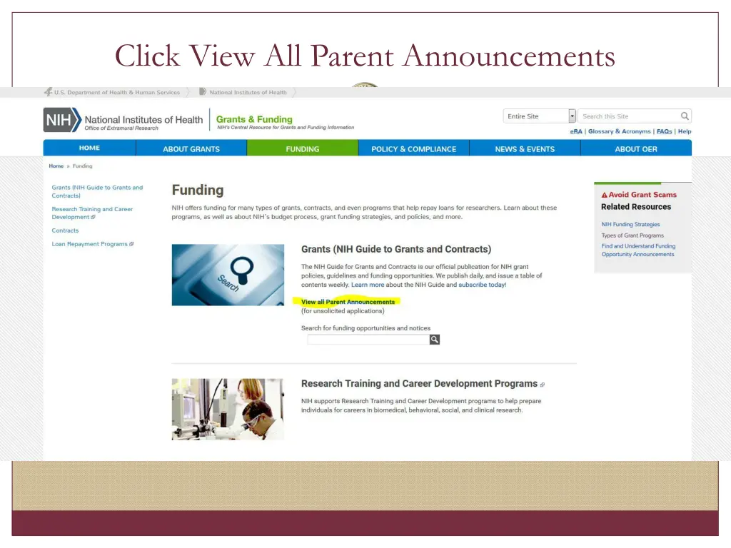 click view all parent announcements
