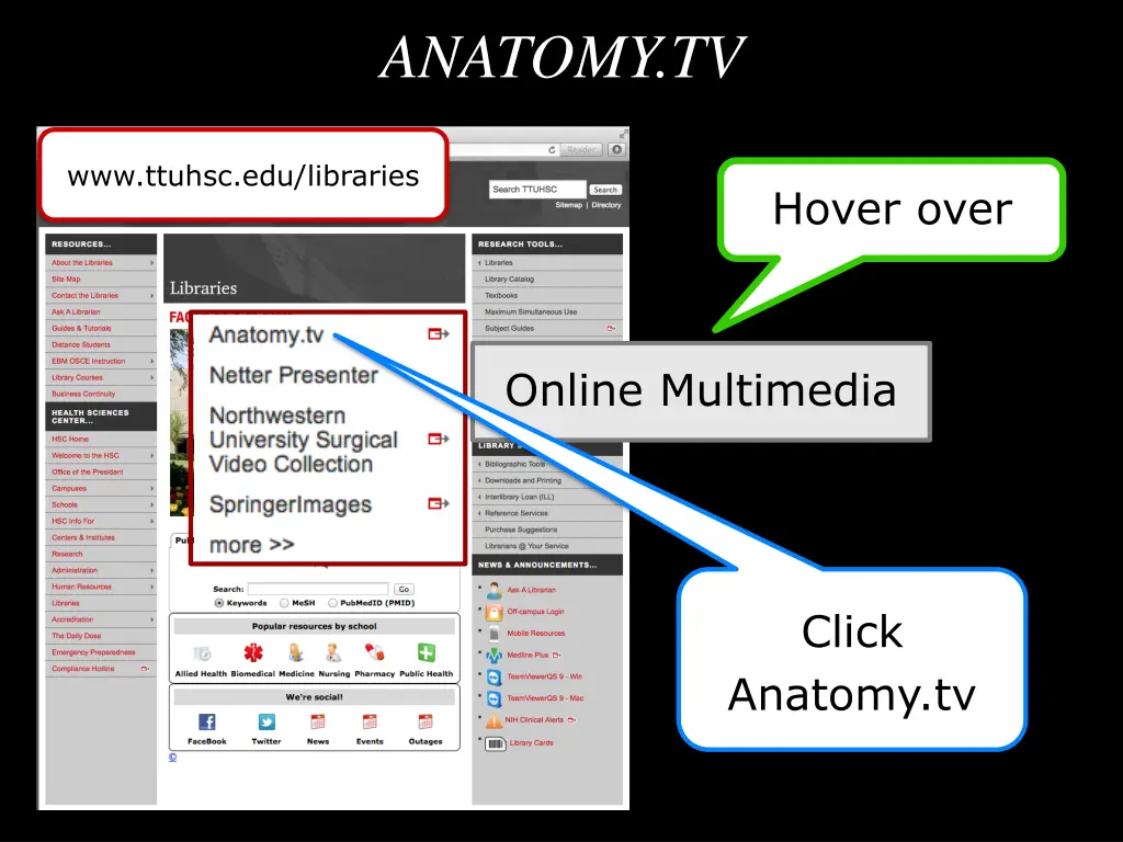 anatomy tv 1