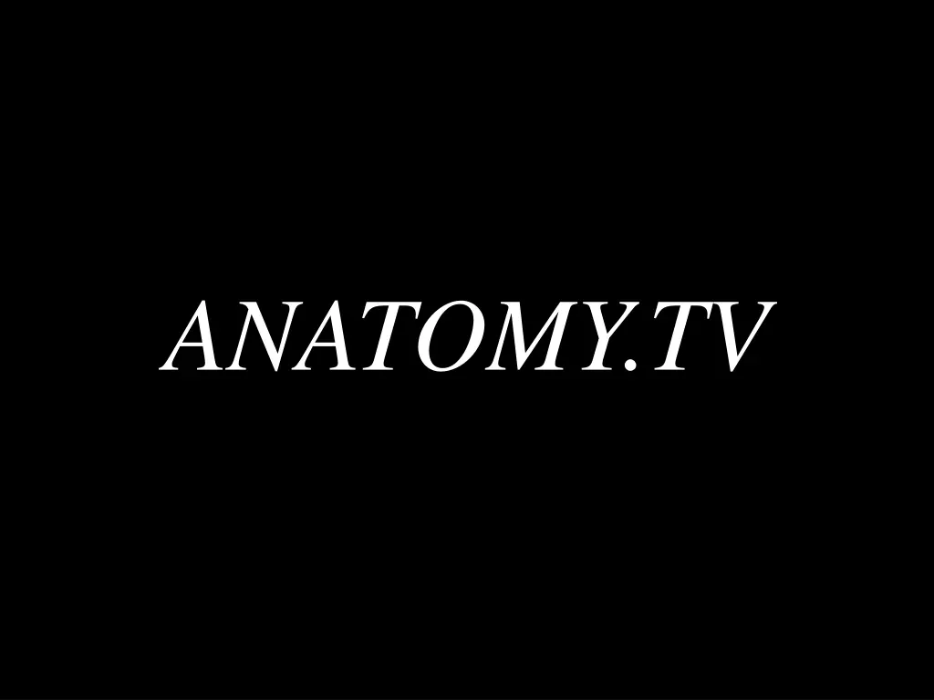 anatomy tv