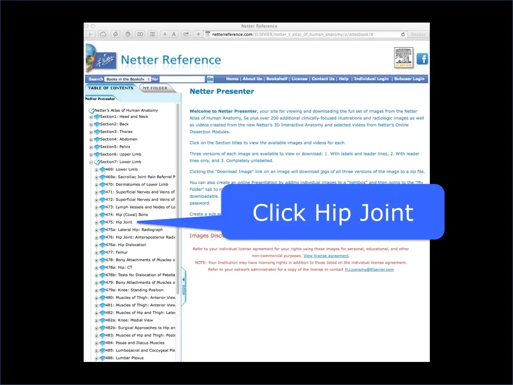 click hip joint