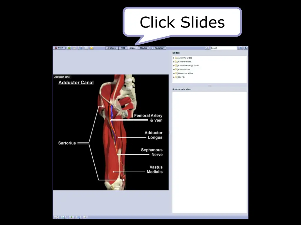 click slides