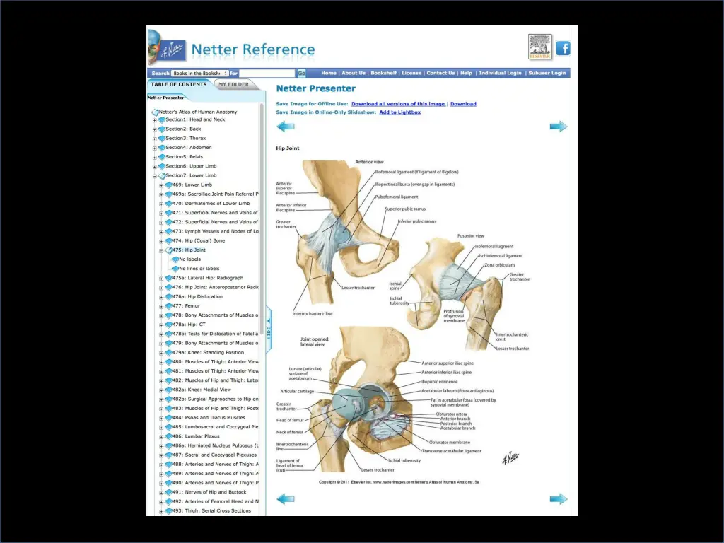 slide18